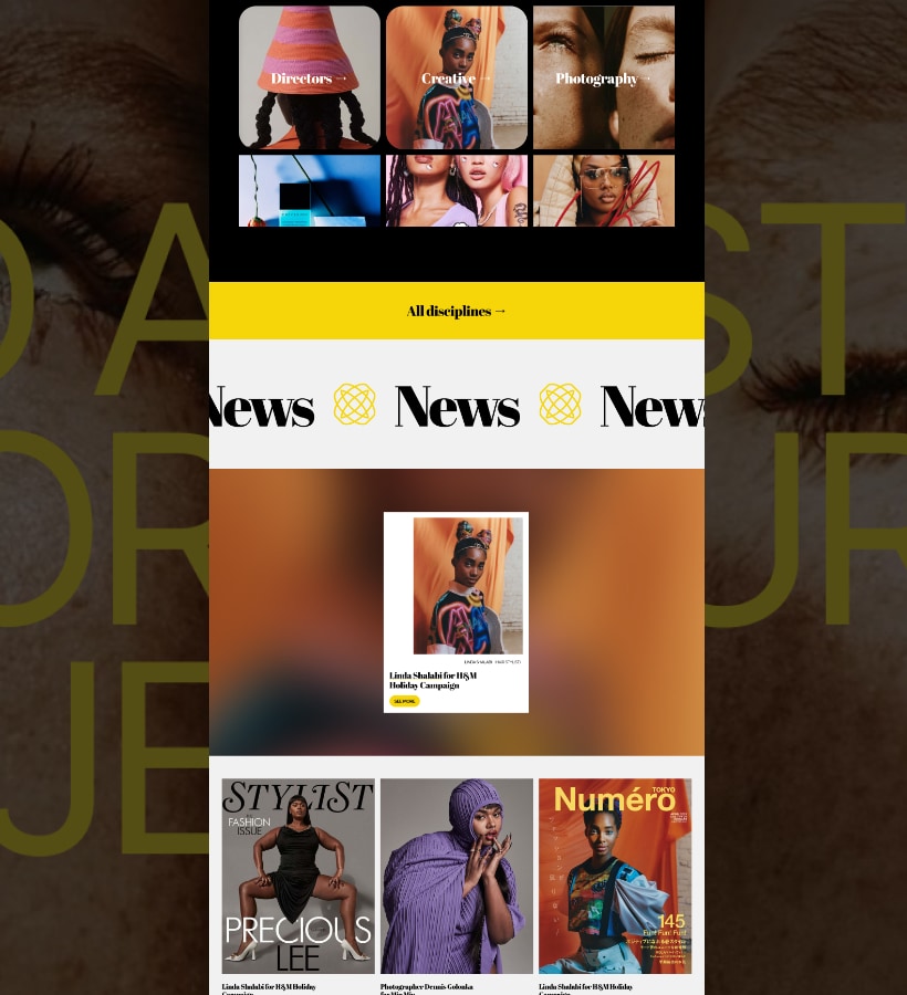Fashion Website Shopify store